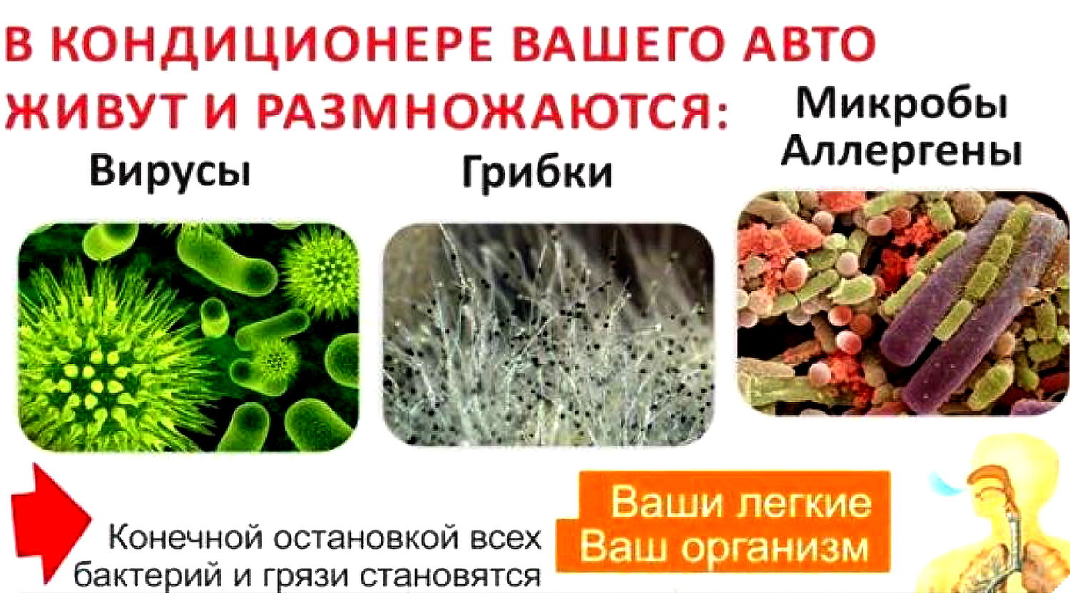 Стерилизация салона автомобиля промышленным озонатором в Гомеле Профессиональная дезинфекция салона автомобиля озоном от вирусов и бактерий в Гомеле