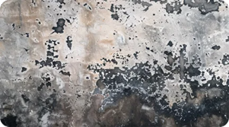 <span style="font-weight: bold;">Борьба с плесенью</span>